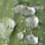 Droplets